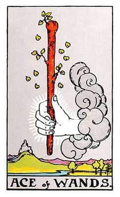 Read more about the article Tarot: ace of wands